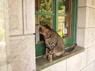 111house-1.jpg
